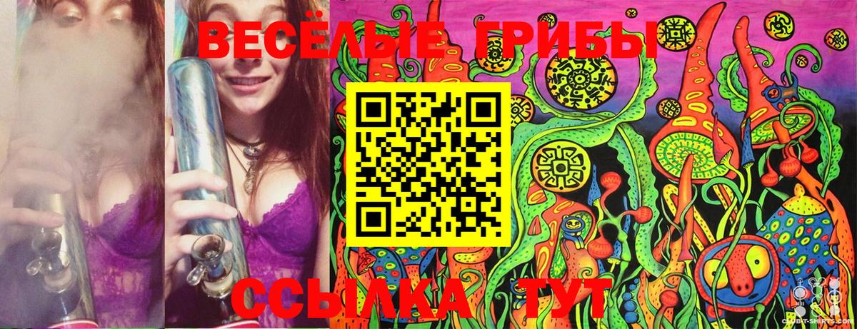 Галлюциногенные грибы Cubensis  Псилоцибиновые грибы мицелий  Пенза  Вход с VPN 