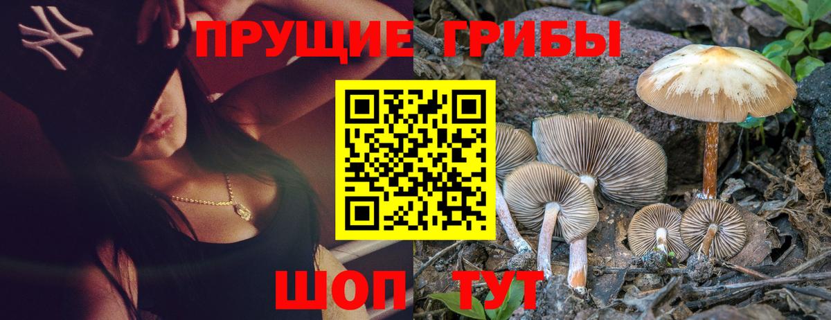 Галлюциногенные грибы прущие грибы Пенза