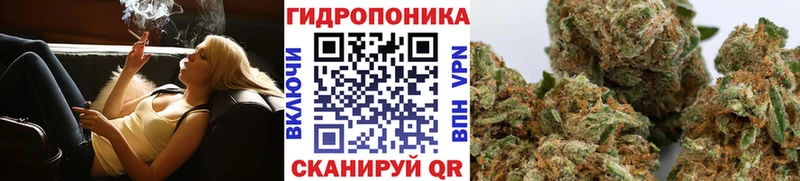 Шишки марихуана индика  купить наркотики сайты  Пенза 